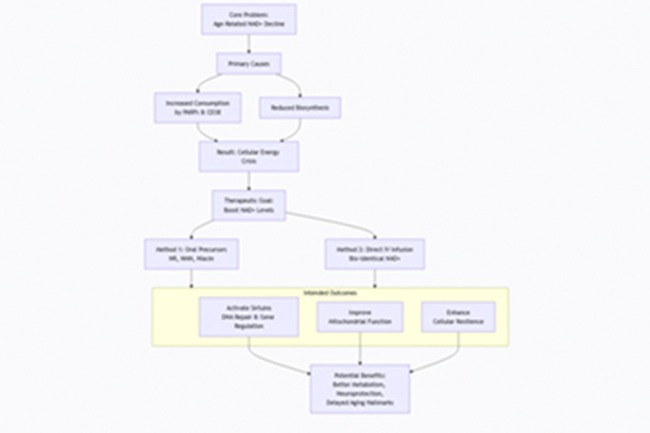 Was ist eine NAD+-Therapie?